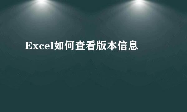 Excel如何查看版本信息