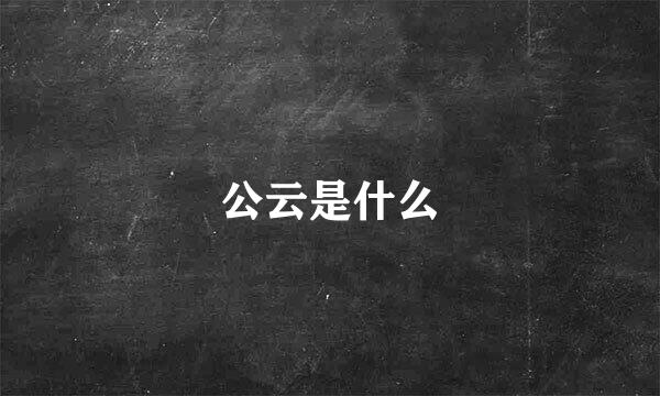 公云是什么