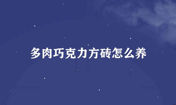 多肉巧克力方砖怎么养