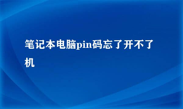 笔记本电脑pin码忘了开不了机