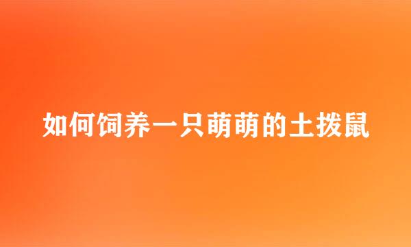 如何饲养一只萌萌的土拨鼠