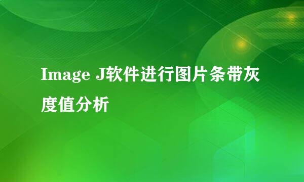Image J软件进行图片条带灰度值分析