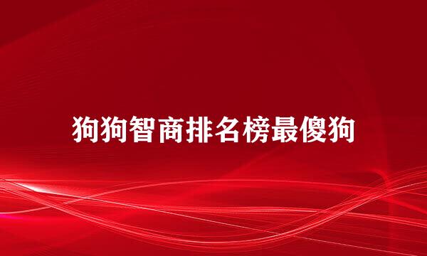 狗狗智商排名榜最傻狗