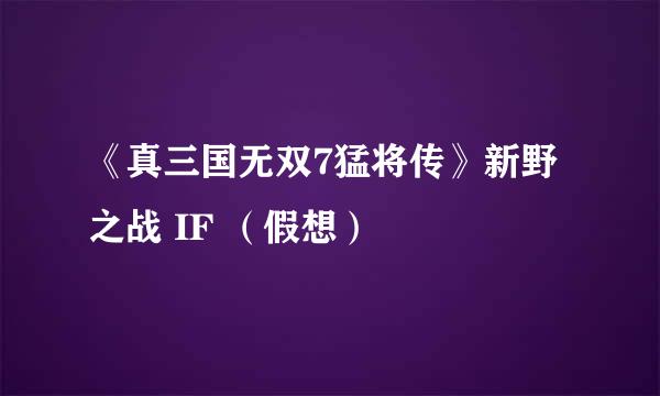 《真三国无双7猛将传》新野之战 IF （假想）