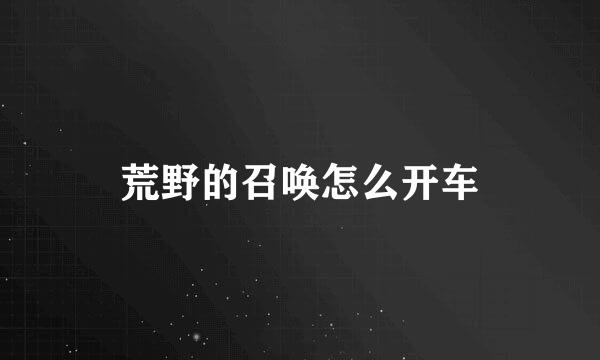 荒野的召唤怎么开车