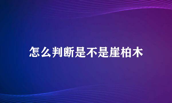 怎么判断是不是崖柏木