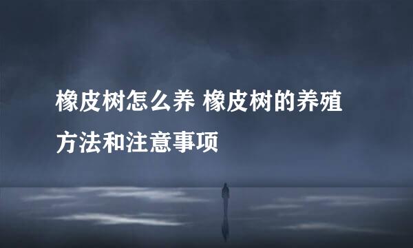 橡皮树怎么养 橡皮树的养殖方法和注意事项