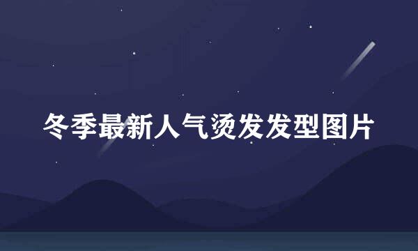 冬季最新人气烫发发型图片