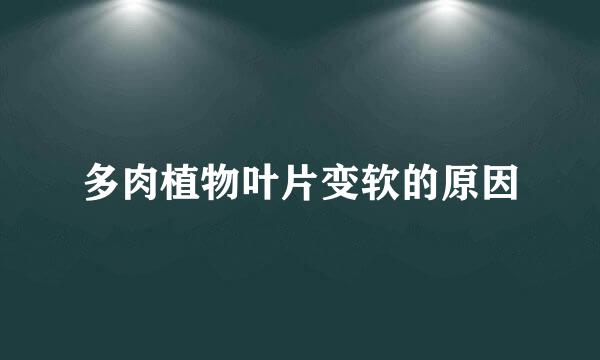 多肉植物叶片变软的原因
