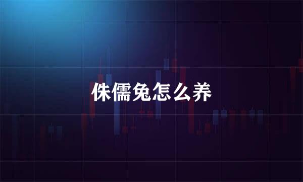 侏儒兔怎么养