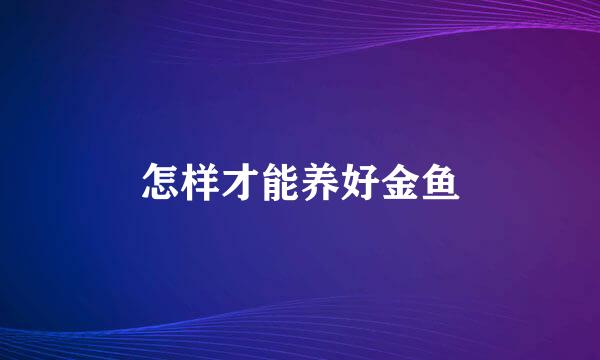 怎样才能养好金鱼