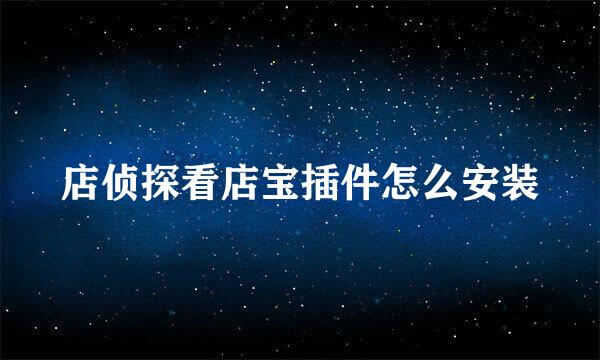 店侦探看店宝插件怎么安装