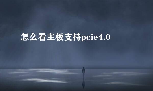 怎么看主板支持pcie4.0