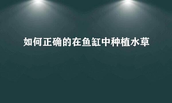 如何正确的在鱼缸中种植水草