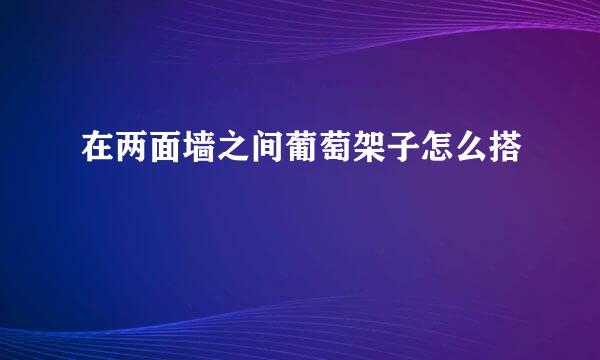 在两面墙之间葡萄架子怎么搭