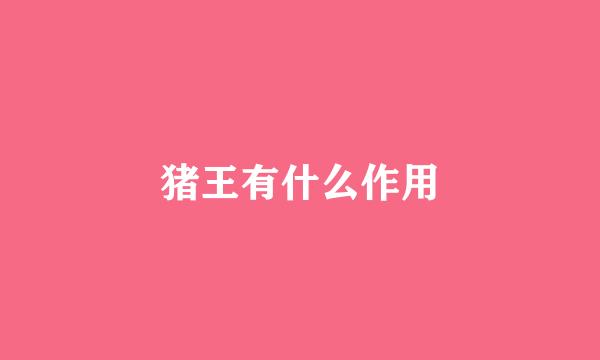 猪王有什么作用