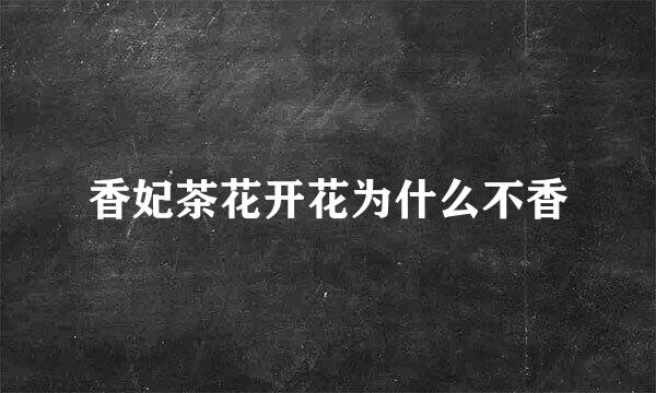 香妃茶花开花为什么不香