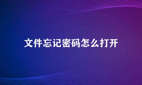 文件忘记密码怎么打开