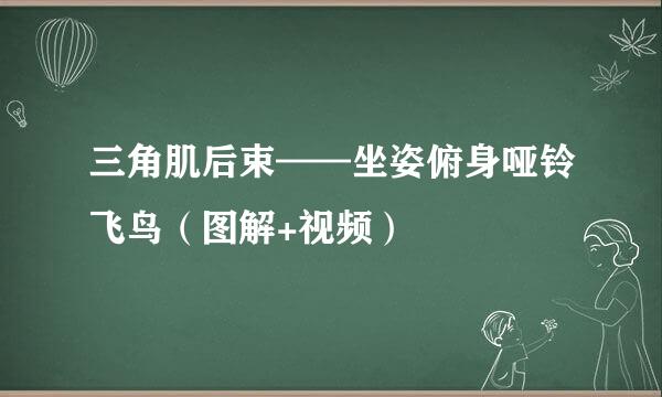 三角肌后束——坐姿俯身哑铃飞鸟（图解+视频）