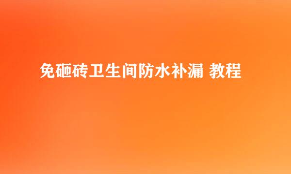 免砸砖卫生间防水补漏 教程