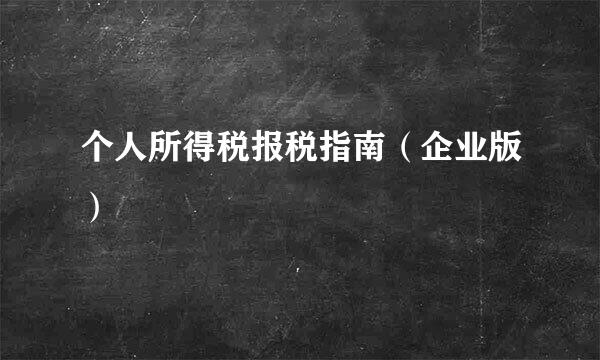 个人所得税报税指南（企业版）
