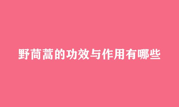 野茼蒿的功效与作用有哪些