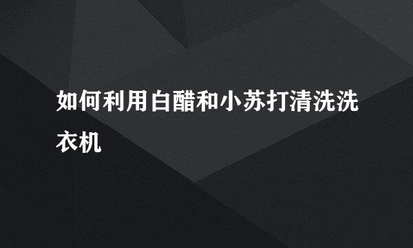 如何利用白醋和小苏打清洗洗衣机