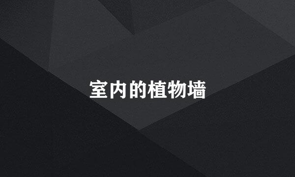 室内的植物墙
