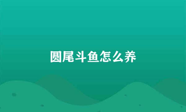 圆尾斗鱼怎么养