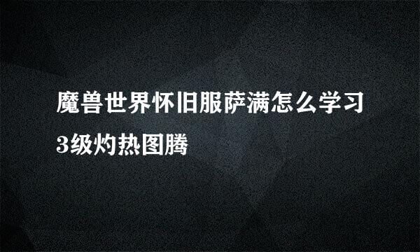 魔兽世界怀旧服萨满怎么学习3级灼热图腾