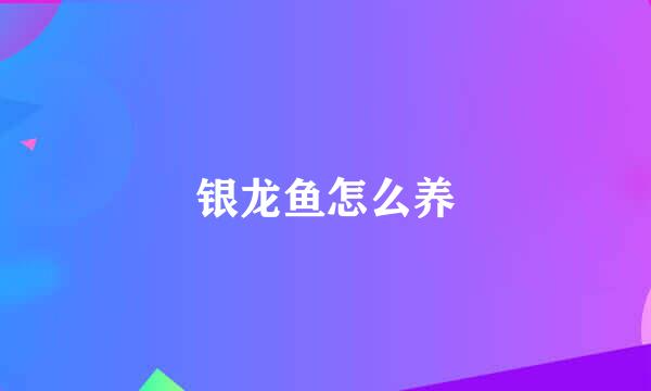 银龙鱼怎么养
