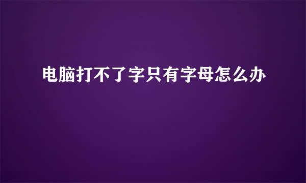 电脑打不了字只有字母怎么办