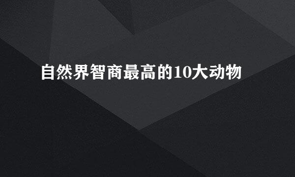 自然界智商最高的10大动物