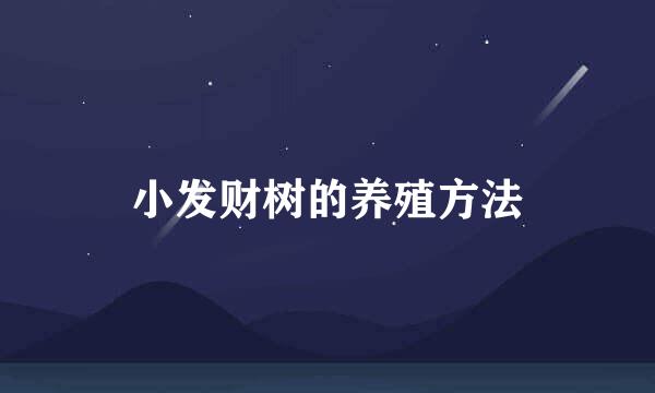 小发财树的养殖方法