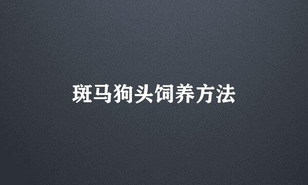 斑马狗头饲养方法