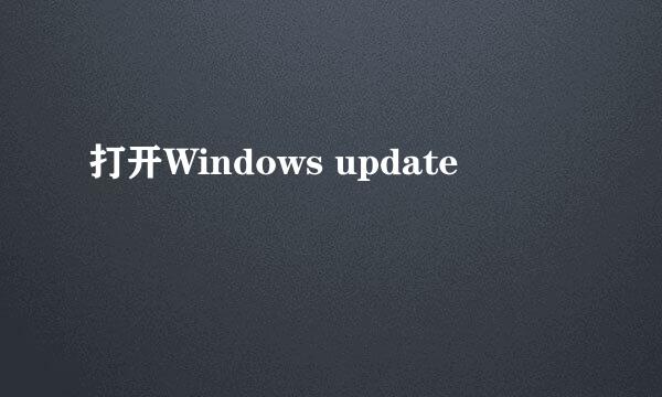 打开Windows update