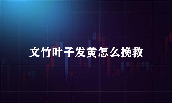 文竹叶子发黄怎么挽救