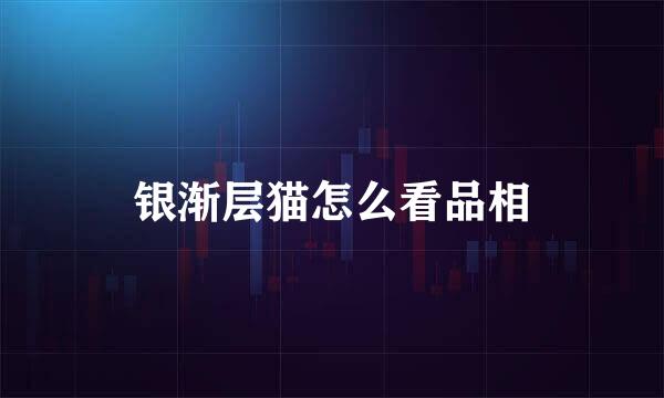 银渐层猫怎么看品相