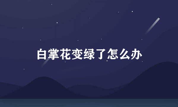 白掌花变绿了怎么办