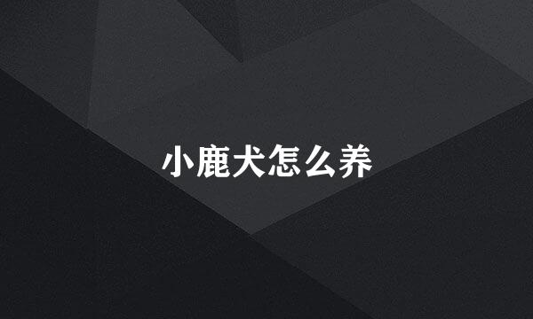 小鹿犬怎么养