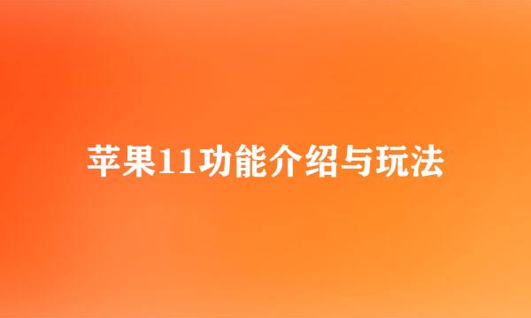 苹果11功能介绍与玩法