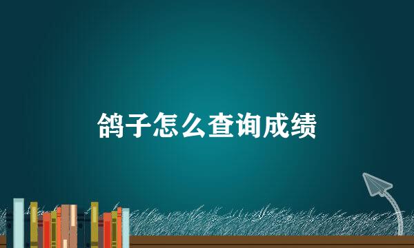 鸽子怎么查询成绩