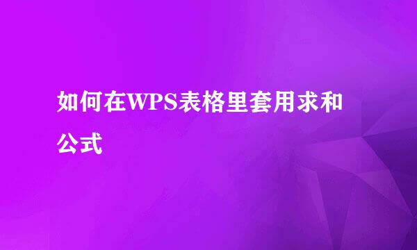 如何在WPS表格里套用求和公式