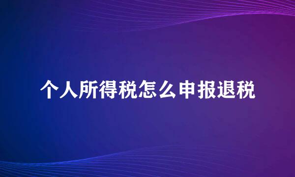 个人所得税怎么申报退税