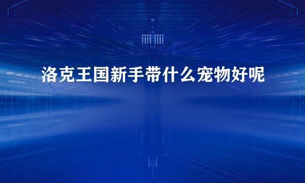洛克王国新手带什么宠物好呢