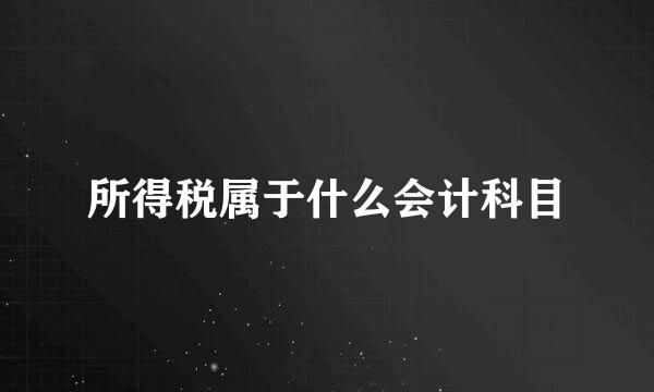 所得税属于什么会计科目