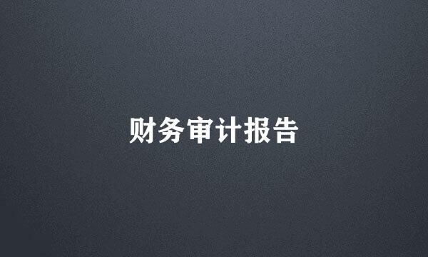 财务审计报告
