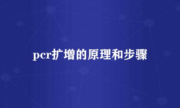 pcr扩增的原理和步骤