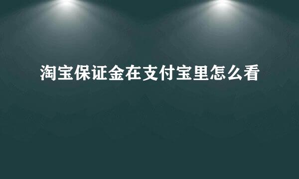 淘宝保证金在支付宝里怎么看