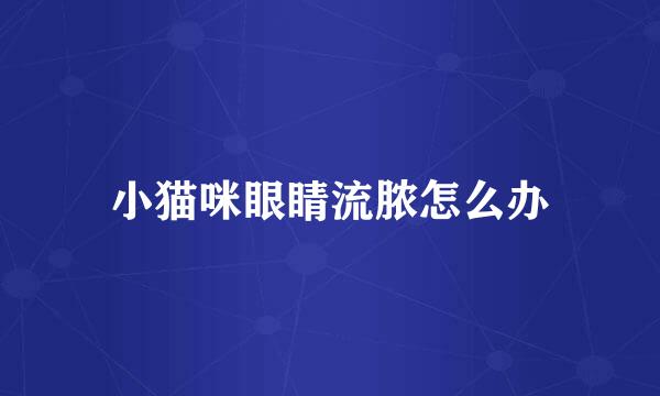 小猫咪眼睛流脓怎么办